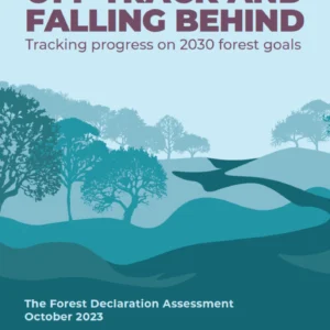 As florestas são vitais para proteger o clima