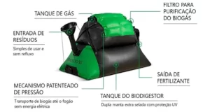 Biogas