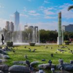 5 edifícios e varias predas e duas palmeiras verdes