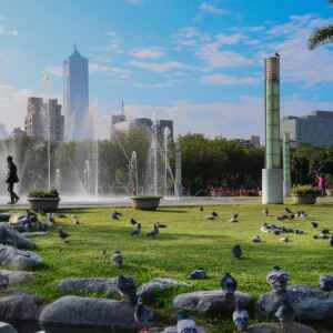 Espaços verdes podem salvar vidas 5 edifícios e varias predas e duas palmeiras verdes