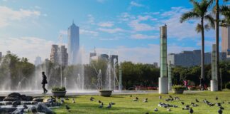 5 edifícios e varias predas e duas palmeiras verdes