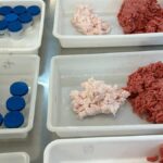 Redução de Sódio em Hambúrgueres é Uma Inovação na Tecnologia de Alimentos