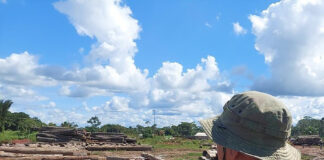 homem olhando a paisagem