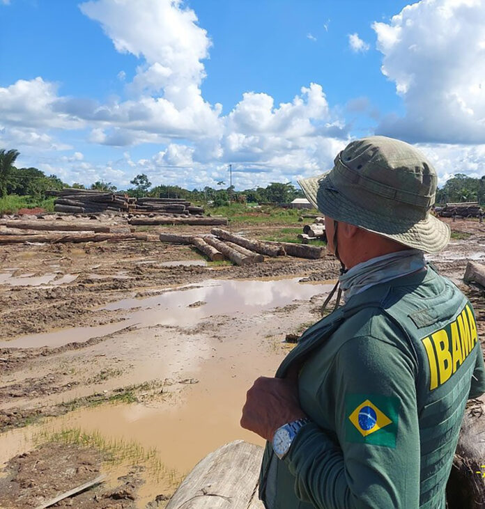 Imagem do Ibama, mostra área desmatada neste ano em Lábrea, no Amazonas homem olhando a paisagem