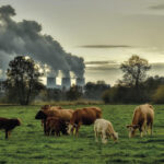 Como desacelerar as alterações climáticas