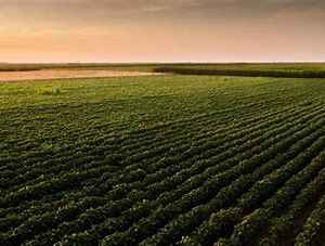 A Atividade El Niño e a Proteção da Lavoura no Norte e Nordeste