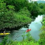 Congresso Nacional pondera a criação de um fundo para promover o ecoturismo