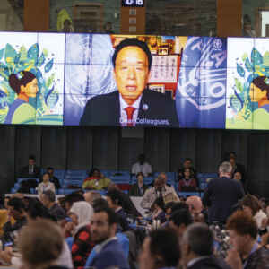 10ª Sessão do Conselho Diretivo do ITPGRFA