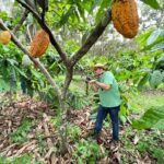 Inteligência Artificial no Combate a Pragas e Doenças do Cacau