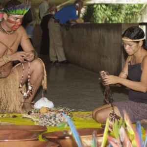 O Selo Indígenas do Brasil: Uma Nova Era para a Agricultura Familiar