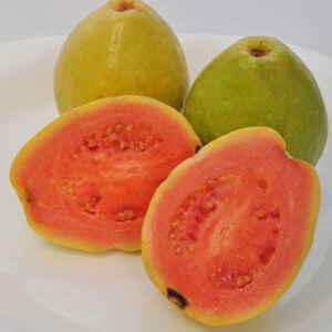 Resíduo da agroindústria de polpa de goiaba pode ser usado na alimentação de tambaqui