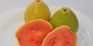 Resíduo da agroindústria de polpa de goiaba pode ser usado na alimentação de tambaqui Resíduo da agroindústria de polpa de goiaba pode ser usado na alimentação de tambaqui