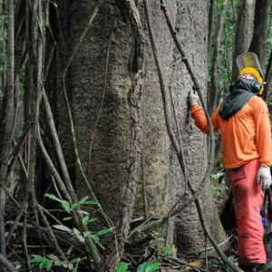 A Nova Era da Indústria Verde no Brasil
