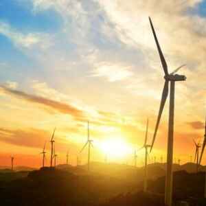 Parceria entre Indústria e Governo para a Descarbonização no Brasil