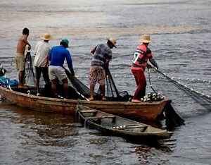 Proteção Social e Desenvolvimento Sustentável: Uma Nova Era para os Pescadores do Brasil