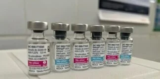 Brasil lidera a luta global contra a Dengue Brasil lidera a luta global contra a Dengue