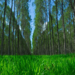 Avanço Sustentável no Brasil com o Programa Nacional de Conversão de Pastagens Degradadas