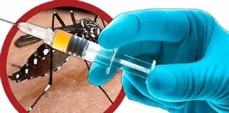 Dengue, zika e chikungunya precisam ser controladas de forma integrada Dengue, zika e chikungunya precisam ser controladas de forma integrada