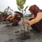 O acordo da COP28 sobre a adaptação às alterações climáticas lança o verdadeiro desafio no futuro