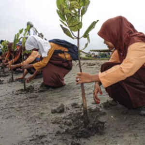 O acordo da COP28 sobre a adaptação às alterações climáticas lança o verdadeiro desafio no futuro