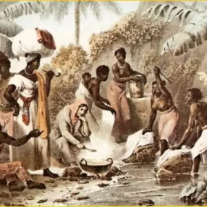 Como o arroz escondido por uma mulher que fugia da escravidão em 1700 poderia ajudar seus descendentes