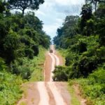 Salvaguardando a Amazônia com uma Estratégia Abrangente de Prevenção ao Desmatamento até a Infraestrutura Sustentável