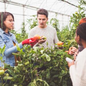 Educação e Agricultura: Uma Parceria para o Futuro