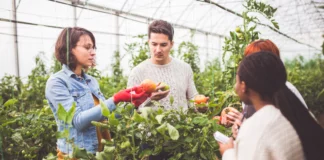 Educação e Agricultura: Uma Parceria para o Futuro Educação e Agricultura: Uma Parceria para o Futuro