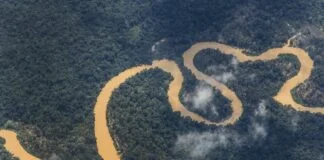 A Luta Contínua dos Yanomami Contra o Garimpo Ilegal A Luta Contínua dos Yanomami Contra o Garimpo Ilegal
