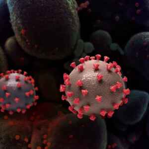 Aumento Global de Casos de Covid-19 em 52%