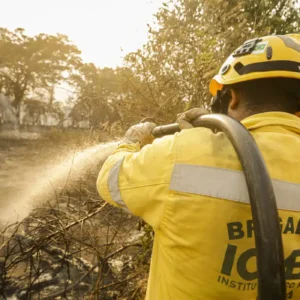 Mais de 17,3 milhões de hectares foram queimados em 2023 no país