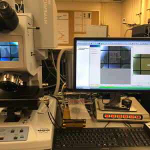 A Revolução dos Microplásticos: Uma Nova Abordagem para Detecção