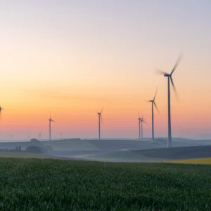 Métricas de Stakeholder: Um Novo Paradigma para a Sustentabilidade Corporativa