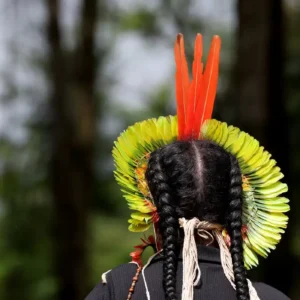 Cinco Anos Após a Tragédia de Brumadinho – A Saga dos Pataxós