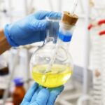 Avanço na Agricultura Familiar na Amazônia através da Inovação da Andiroba