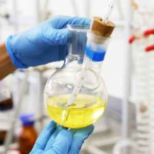 Avanço na Agricultura Familiar na Amazônia através da Inovação da Andiroba