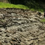 Desvendando o Passado Marítimo da Amazônia