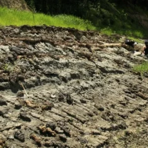 Desvendando o Passado Marítimo da Amazônia