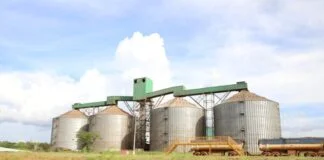 Instalação de Fábrica de Fertilizantes em Porto Velho com Investimento de R$ 82 mi" Instalação de Fábrica de Fertilizantes em Porto Velho com Investimento de R$ 82 mi"