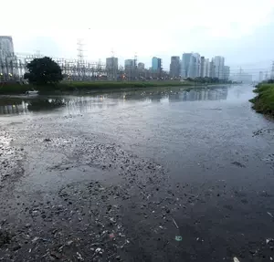 Prorrogado edital da Heineken e SOS Mata Atlântica destinado a projetos de despoluição do Rio Pinheiros.