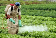 Especialista alerta: agrotóxicos atingem mais quem já vive vulnerável