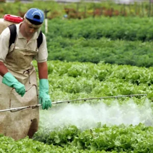 Especialista alerta: agrotóxicos atingem mais quem já vive vulnerável