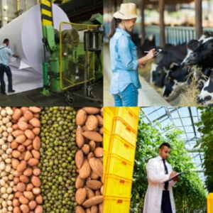 Iniciativa de Agrocarbono Sustentável: Uma Nova Era para o Agronegócio