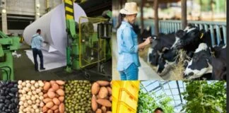 Iniciativa de Agrocarbono Sustentável: Uma Nova Era para o Agronegócio Iniciativa de Agrocarbono Sustentável: Uma Nova Era para o Agronegócio