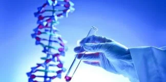 ESPCA Recebe inscrições: Análise Hologenômicos para Agricultura Sustentável ESPCA Recebe inscrições: Análise Hologenômicos para Agricultura Sustentável