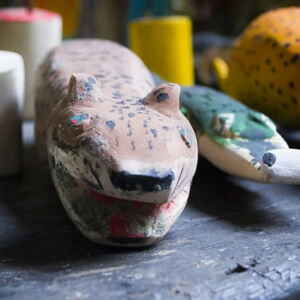 Cooperativa no Pará Impulsiona Desenvolvimento Rural Sustentável