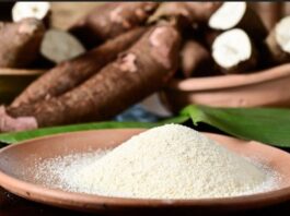 Acessível e nutritiva, a mandioca tem uma data no calendário gastronômico: 22 de abril