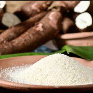 Mandioca: O Legado Indígena da Amazônia que Conquistou o Mundo Acessível e nutritiva, a mandioca tem uma data no calendário gastronômico: 22 de abril