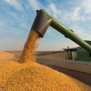 Aprosoja alerta: Queda de receita e produtividade da soja exige cautela dos produtores