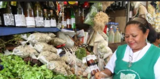 O Potencial Terapêutico das Plantas Medicinais Amazônicas O Potencial Terapêutico das Plantas Medicinais Amazônicas